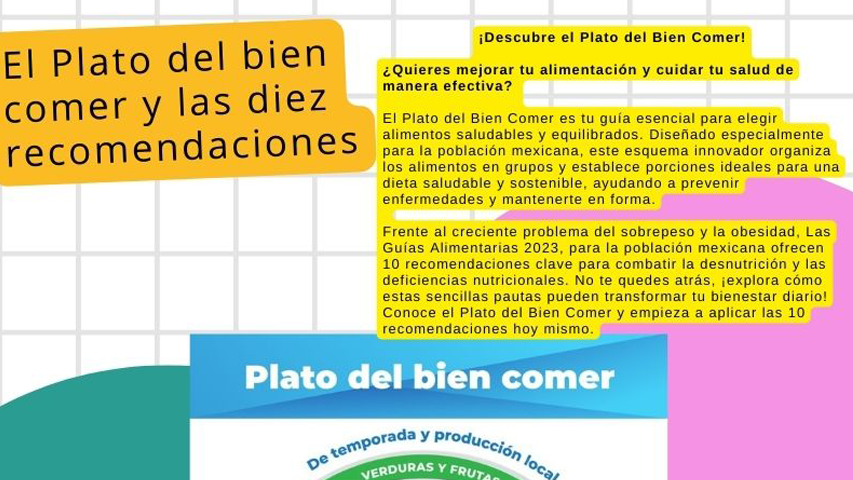 Imagen 9